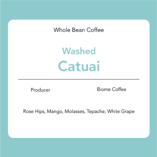 Catuai – Washed: Biome Coffee