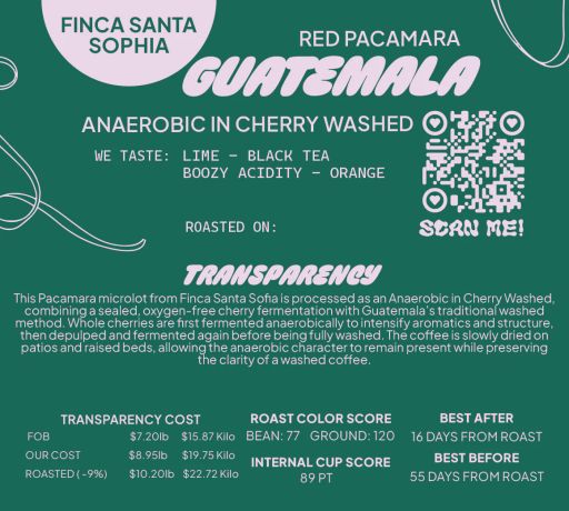 Guatemala Red Pacamara Anaerobic In Cherry Washed