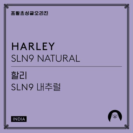 [프릳츠] Harley SLN9 Natural
