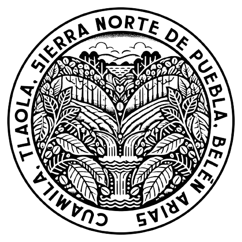 Puebla, Cuamila, Belén Arias, Finca Omeyolot