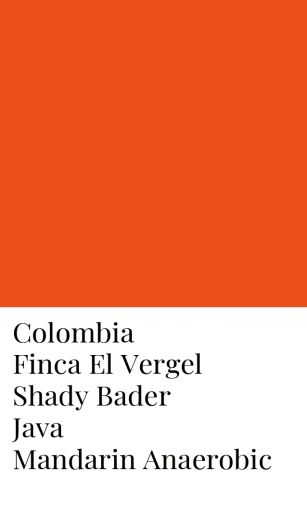 Colombia Shady Bader Java Mandarin-Natural