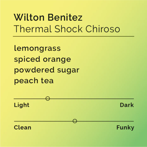 Wilton Benitez - Thermal Shock Chiroso