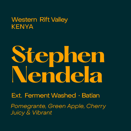 Kenya Stephen Nendela, Extended Ferment Washed