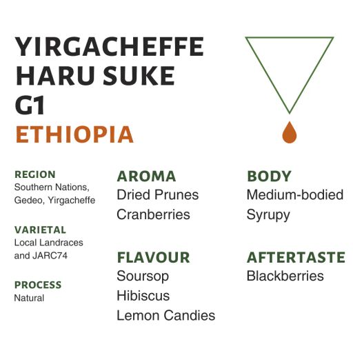Ethiopia Yirgacheffe Haru Suke G1