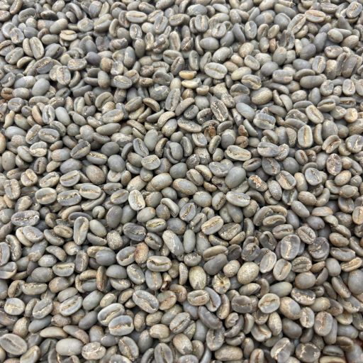 Linarco Rodriguez Geisha