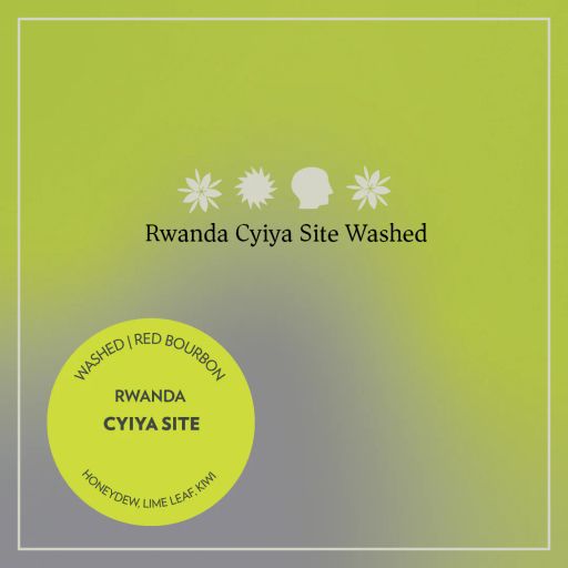 Rwanda - Cyiya Site - Washed Red Bourbon