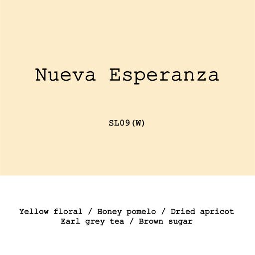 Peru Nueva Esperanza SL09 Washed