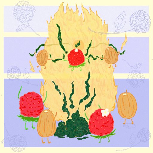 Mokka - Natural - Cafe Granja La Esperanza