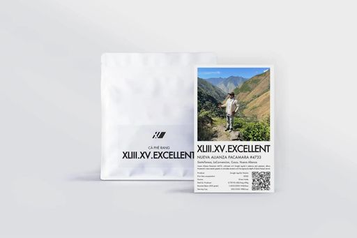 Nueva Alianza Pacamara #4733