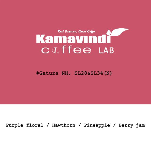 Kenya Kamavindi-Gatura Station SL28 & SL34 Slow Dry Natural