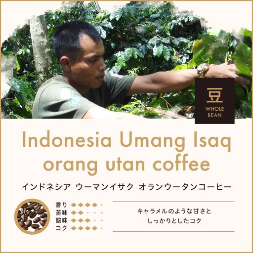 Indonesia Woman Isaq Orangutan Coffee