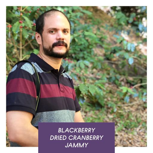 Las Brumas Natural Pacamara