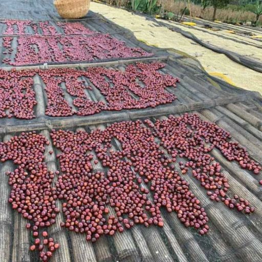 Gogegu Slow Shade Natural