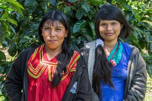 La Rosita - Catuai - Natural - Panama - 2025