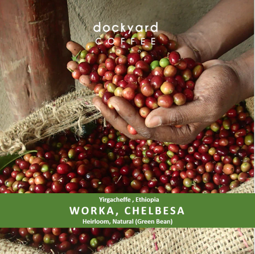 Chelbesa I Ethiopia I Washed I Green Beans