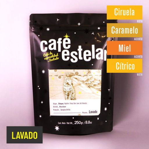 Café Chiapas - Yajalón - Finca San Juan del Vesubio - Bourbon - Lavado