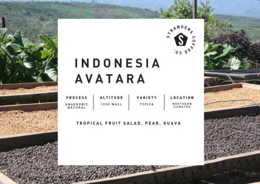 Indonesia Avatara Anaerobic Natural