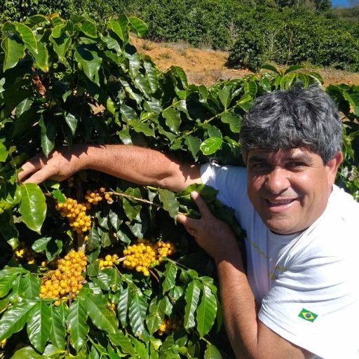 Brazil Sitio Da Torre