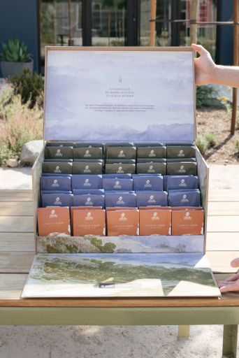 Best of Panama GW-06 Cenizos Stellar Amber Geisha Washed