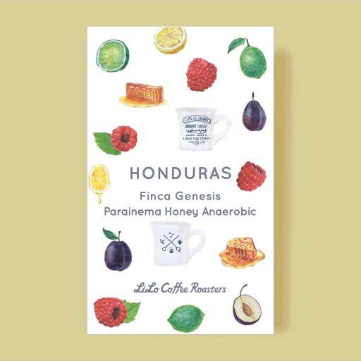 Honduras Finca Genesis Parainema Honey Anaerobic