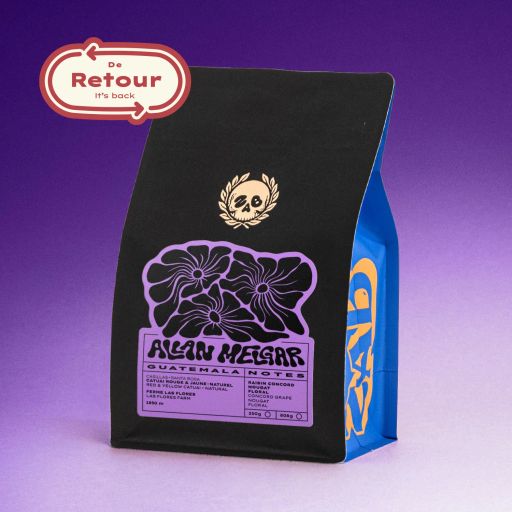 Guatemala - Allan Melgar