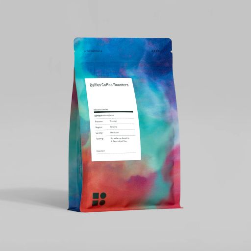 Ethiopia Rumudamo Washed Microlot