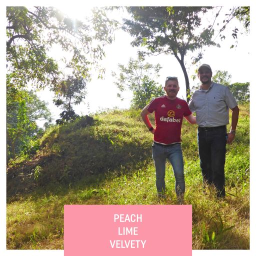 Las Brumas, Natural Gesha, El Salvador