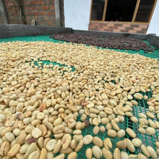 Ecuador - La Marquesa by Ximena Leon - Sidra (2024 #17 COE National Winners)