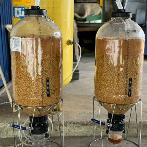 Colombia - Finca La Primavera - Maracuya Yeast Inoculation