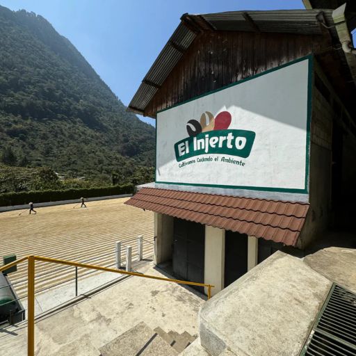 Guatemala - El Injerto - Geisha Washed