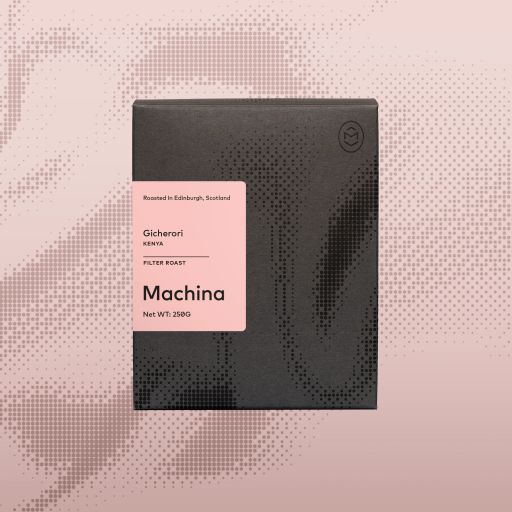 Gicherori, Kenya - Filter