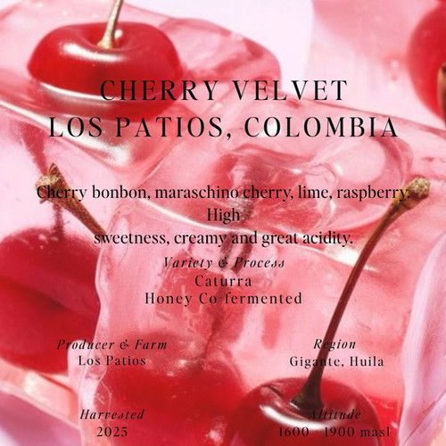 Cherry Velvet, Los Patios, Colombia - Caturra Honey Co-fermented