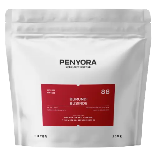 BURUNDI BUSINDE FILTER