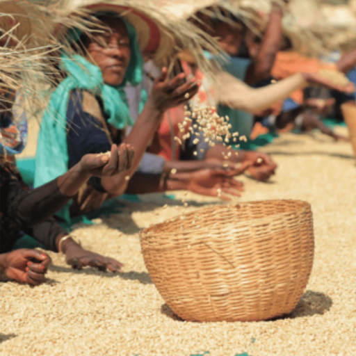 Ethiopia Yirgacheffe