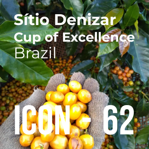 ICON 62 - Sítio Denizar, Cup of Excellence