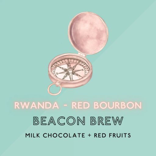 Beacon Brew: Medium Roast