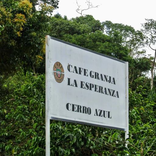 Colombia - CGLE - Cerro Azul Honey Geisha