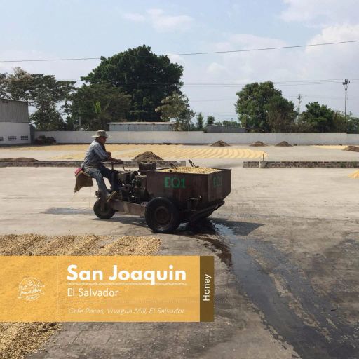 El Salvador San Joaquin Red Bourbon Honey Filter