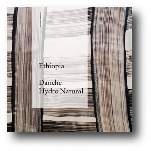 Ethiopia Danche Hydro Natural