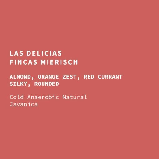 Nicaragua Las Delicias Natural Javanica