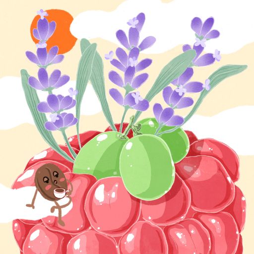 Gesha - Echo - Finca Deborah