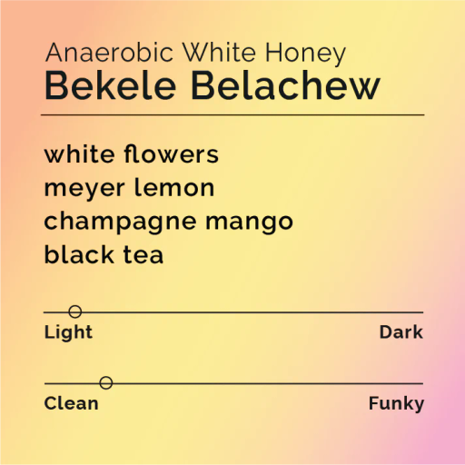 Bekele Belachew Anaerobic White Honey