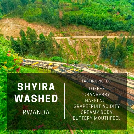 Rwanda Shyira Washed