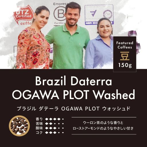 ブラジル ダテーラ OGAWA PLOT ウォッシュド 豆