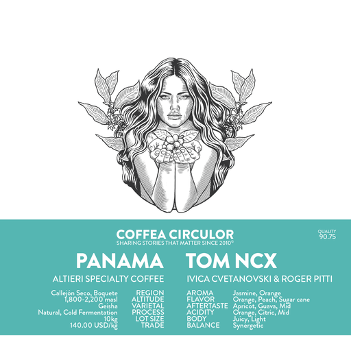 PANAMA Altieri Tom Geisha Natural Cold