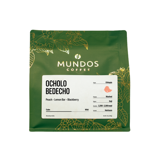 Ethiopia Ocholo Bedecho