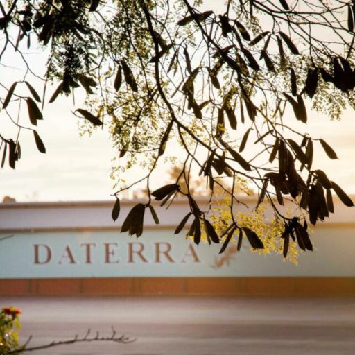 Brazil - Daterra Masterpieces - BV 19 - Laurina