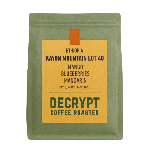 Ethiopia Kayon Mountain Lot 40