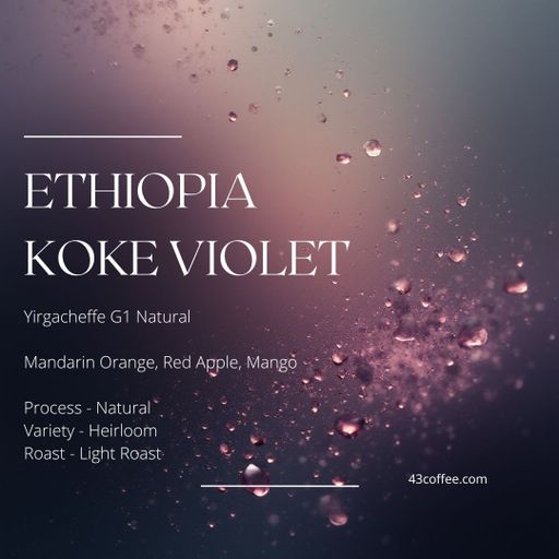 Ethiopia Koke Violet, G1 Natural Yirgacheffe