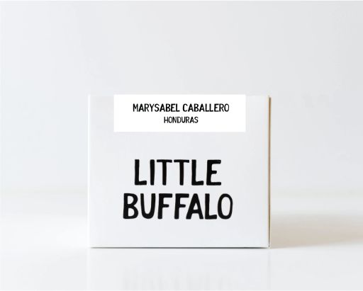 Honduras - Marysabel Caballero & Moisés Herrera SL-28